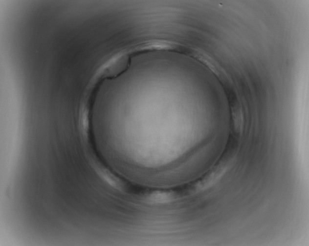 X0000115320350200911091202