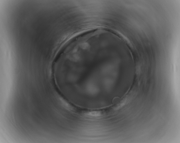 X0000115320353200911091202