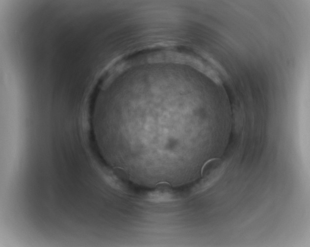 X0000115320354200911091202