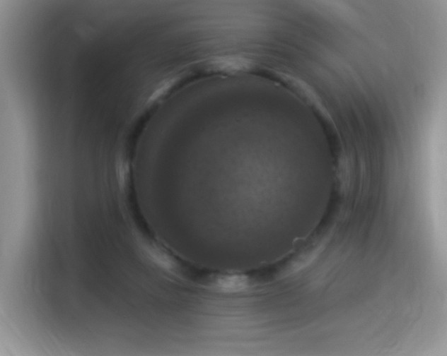 X0000115320355200911091202