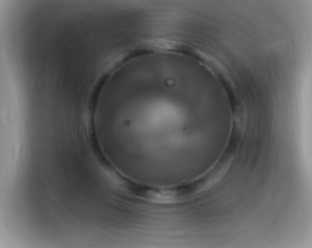 X0000115320359200911091202