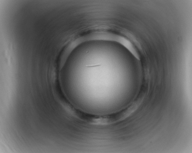 X0000115320362200911091202