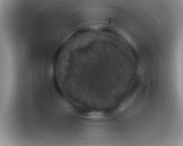 X0000115320363200911091202