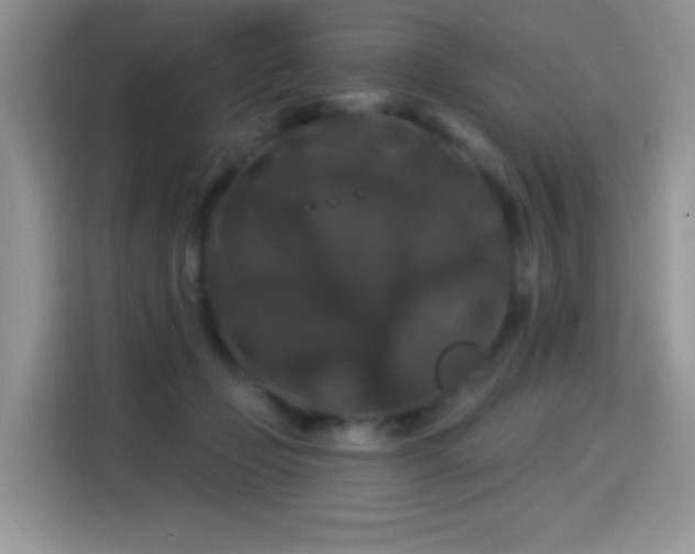 X0000115320365200911091202