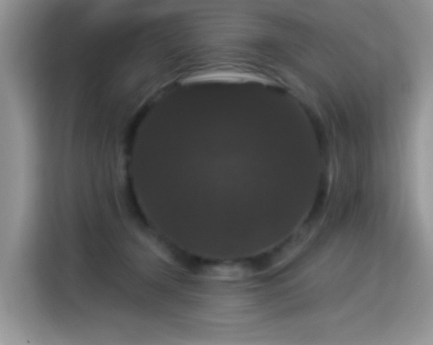 X0000115320366200911091202
