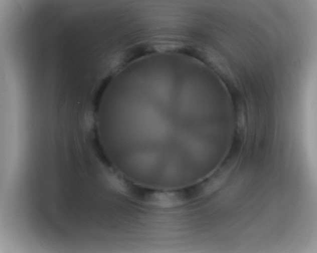 X0000115320367200911091202