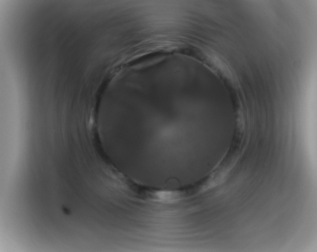X0000115320371200911091202