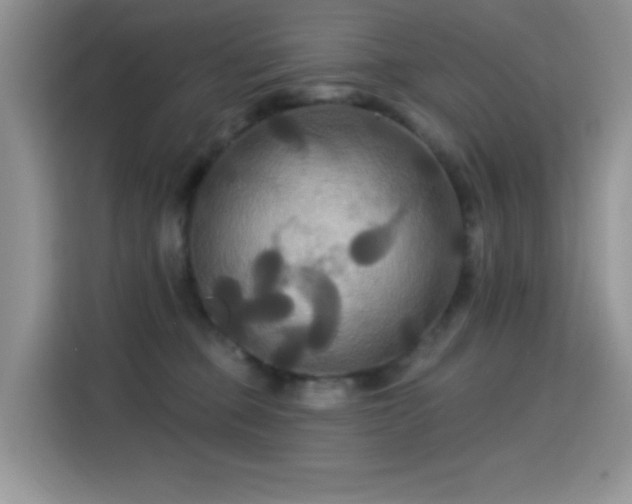 X0000115320373200911091202