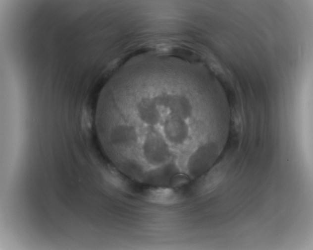 X0000115320374200911091202