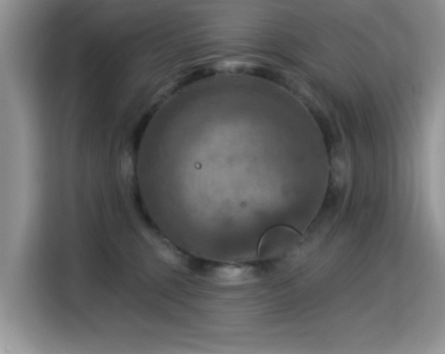 X0000115320375200911091202