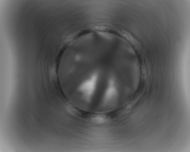 X0000115320377200911091202