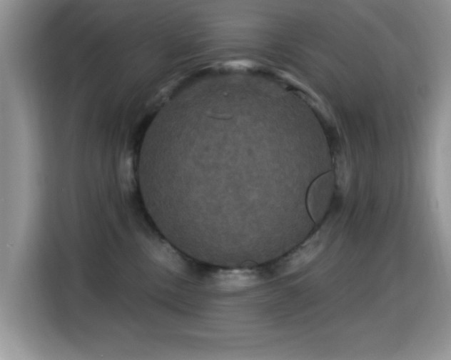 X0000115320378200911091202