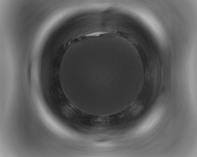 X0000115320383200911091202