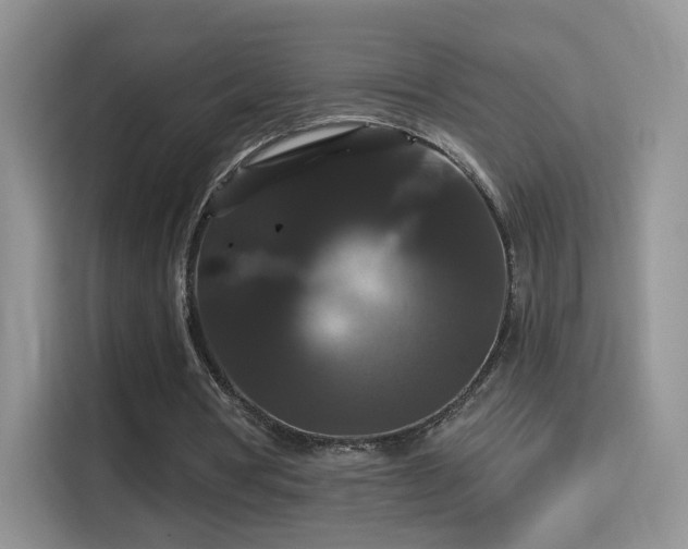 X0000115320386200911091201