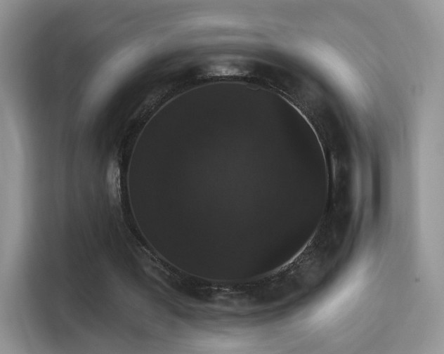 X0000115320387200911091201
