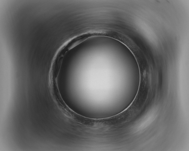 X0000115320388200911091201