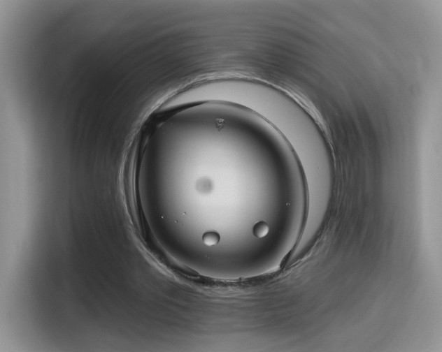 X0000115320389200911091201