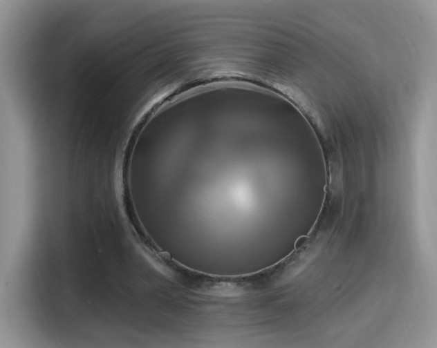 X0000115320390200911091201