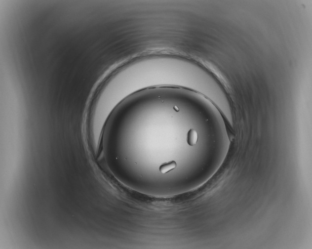 X0000115320391200911091201