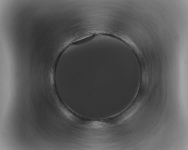 X0000115320393200911091201