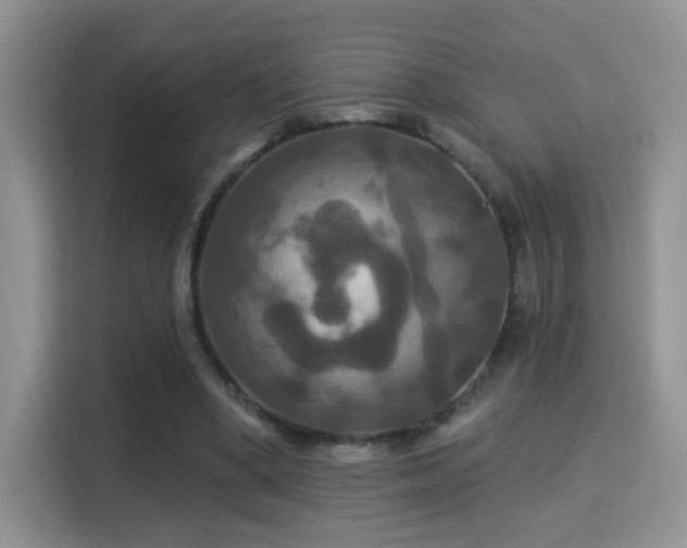 X0000115320394200911091201