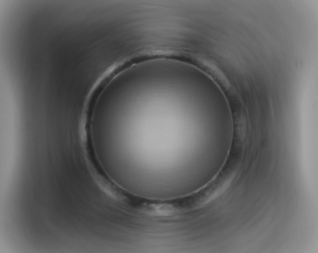 X0000115320395200911091201