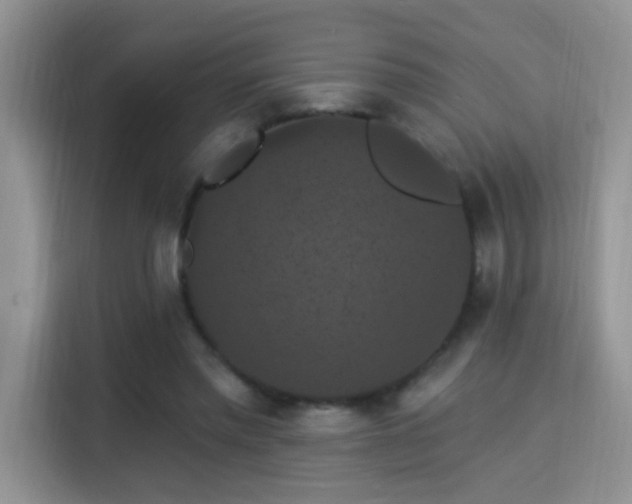 X0000115320397200911091201