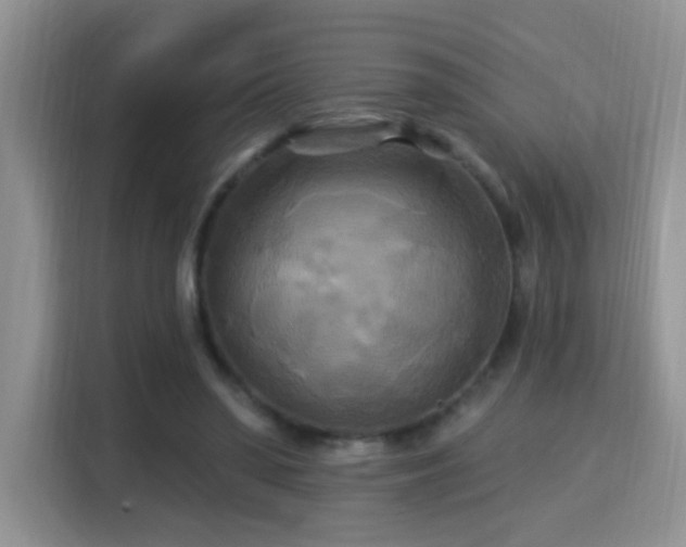 X0000115320398200911091201
