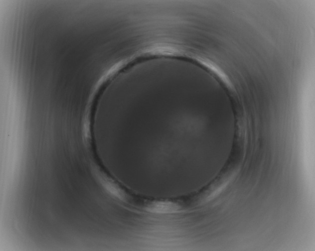 X0000115320399200911091201