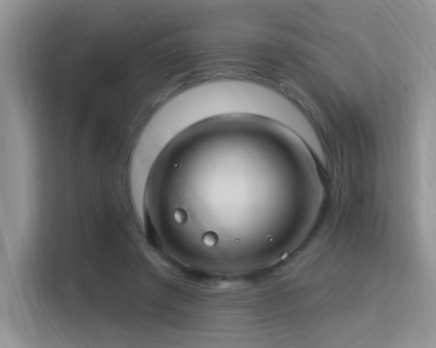 X0000115320401200911091201