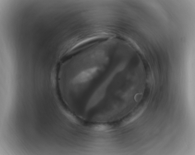 X0000115320402200911091201