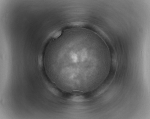 X0000115320403200911091201