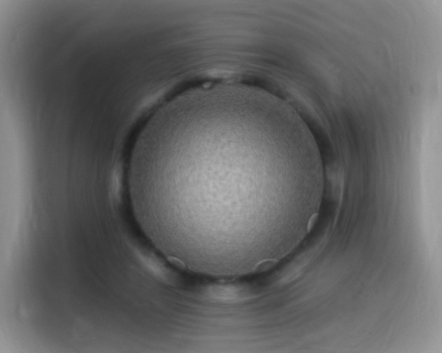 X0000115320404200911091201