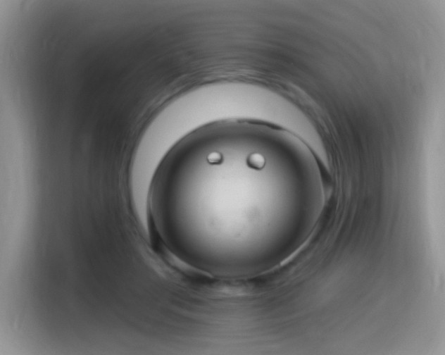 X0000115320405200911091201
