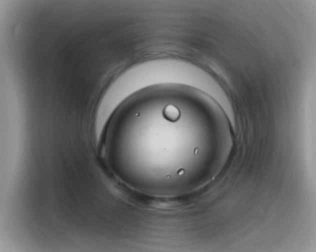 X0000115320407200911091201