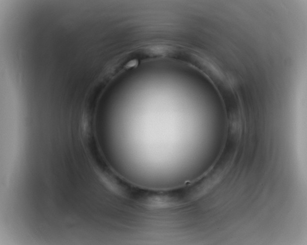 X0000115320408200911091201