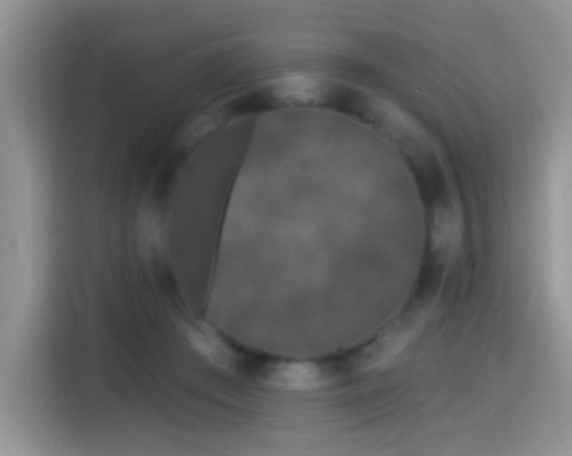 X0000115320409200911091201