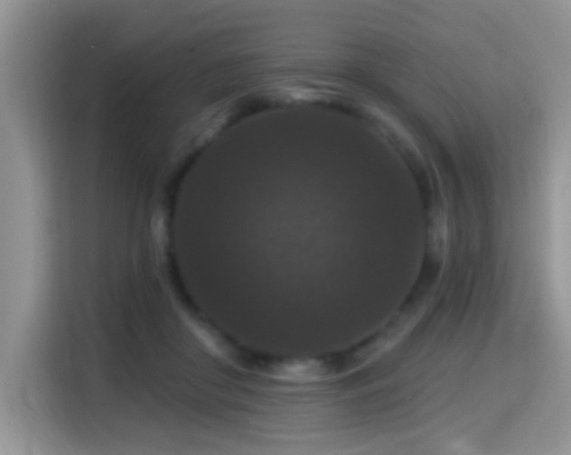X0000115320410200911091201