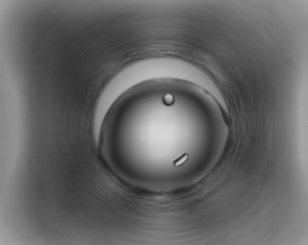 X0000115320411200911091201