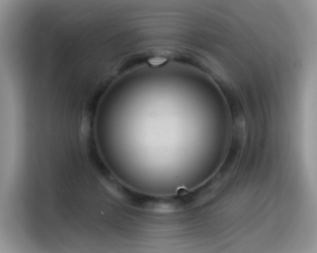 X0000115320412200911091201