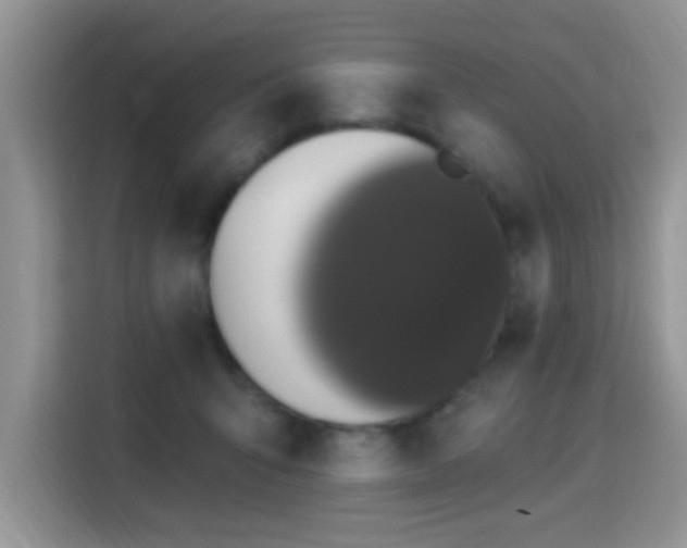 X0000115320415200911091201