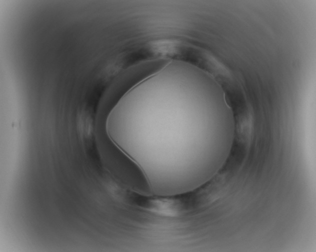 X0000115320417200911091201