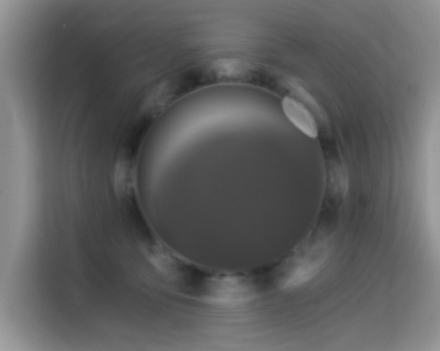 X0000115320419200911091201