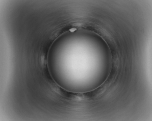 X0000115320420200911091201