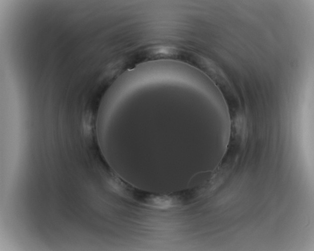 X0000115320423200911091201