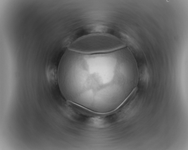 X0000115320425200911091201