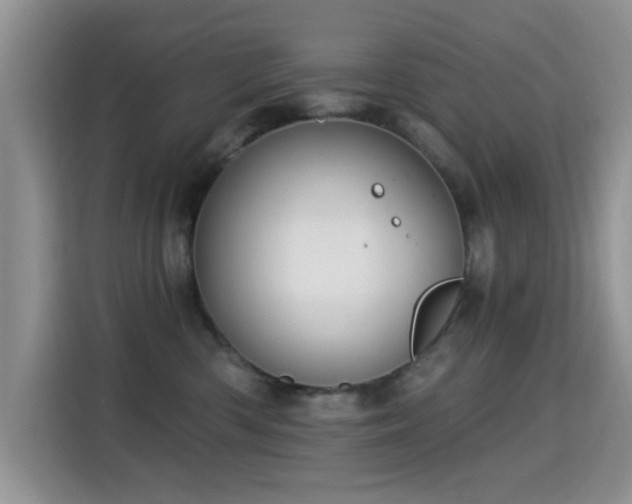 X0000115320426200911091201