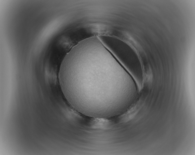 X0000115320429200911091201