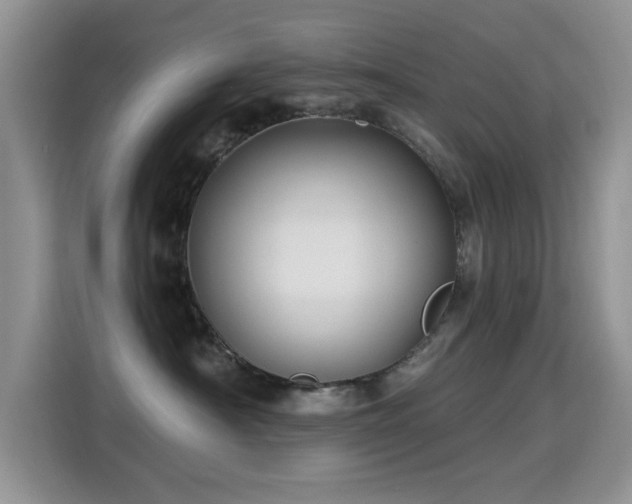 X0000115320430200911091201