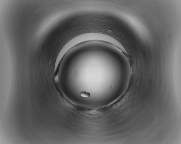 X0000115320431200911091201